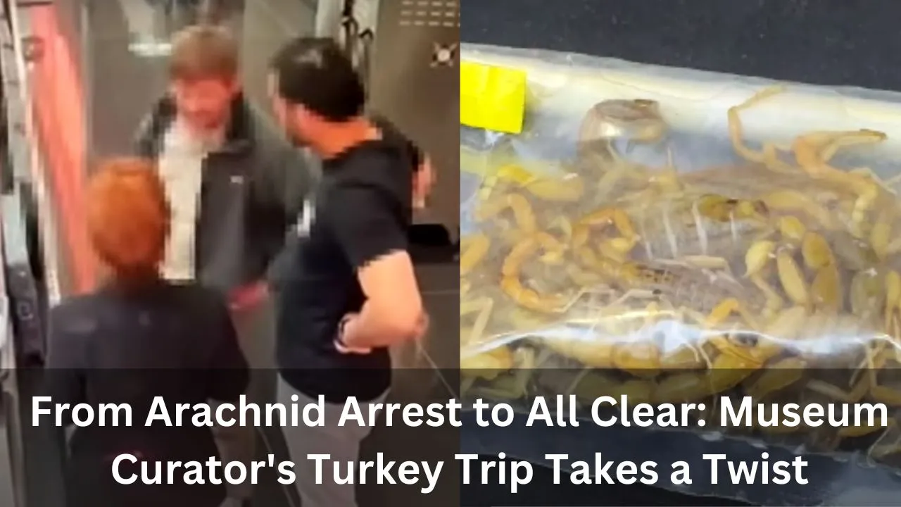 Museum Curator Found With 1,500 Scorpions in Luggage